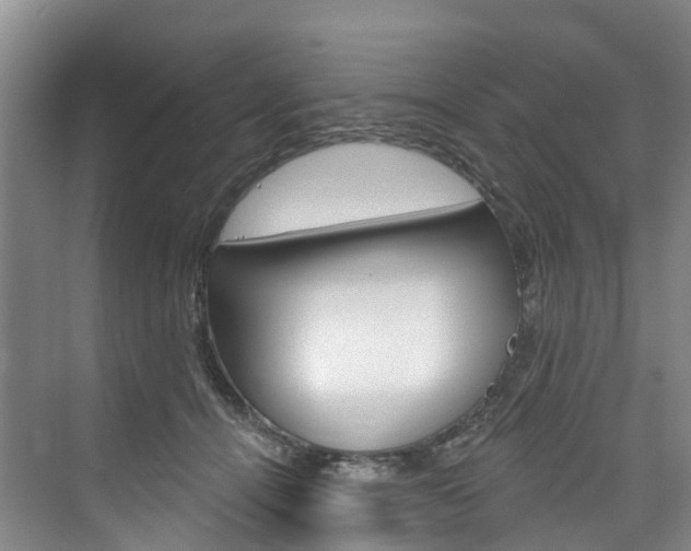 X0000074940464200609010949