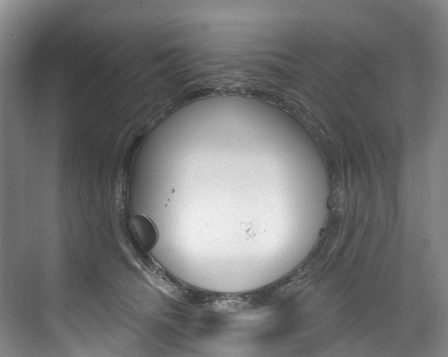 X0000074940468200609010949