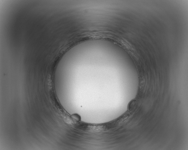 X0000074940469200609010949