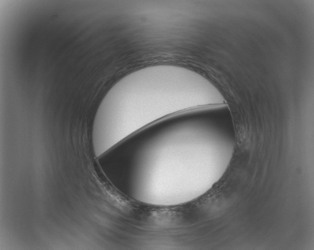 X0000074940470200609010949