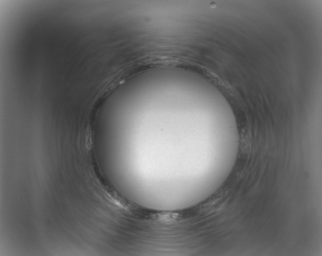 X0000074940474200609010950