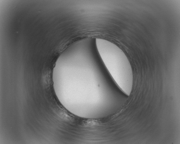 X0000074940475200609010950