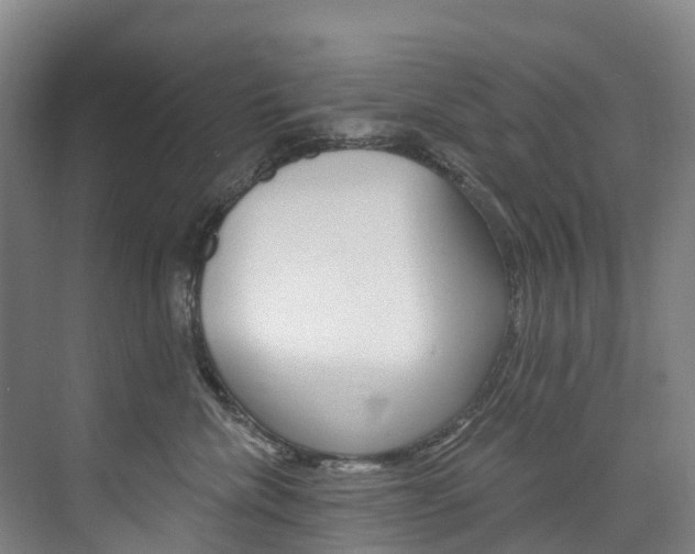 X0000074940476200609010950