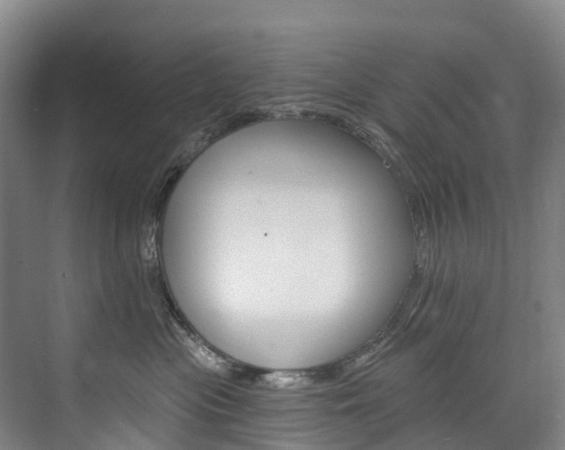 X0000074940477200609010950