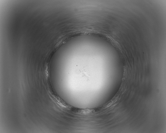 X0000074940479200609010950