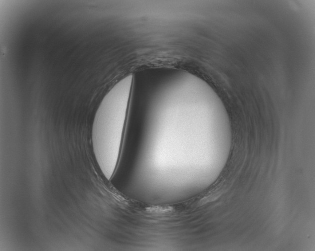 X0000074940480200609010950