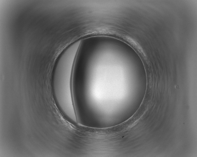 X0000074940481200609010949