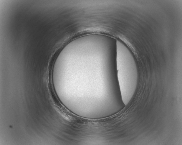 X0000074940486200609010949