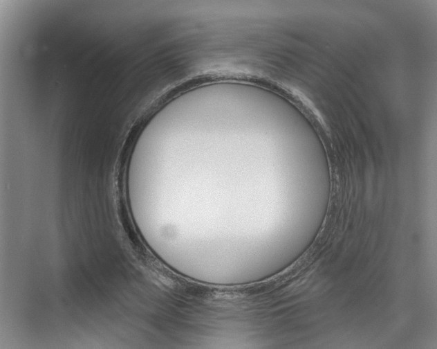 X0000074940487200609010949