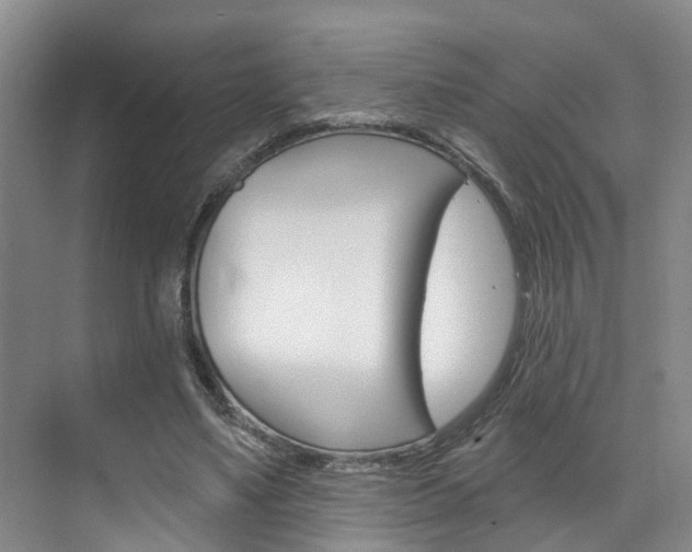 X0000074940491200609010949