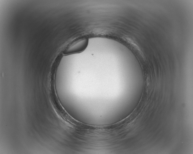 X0000074940492200609010949