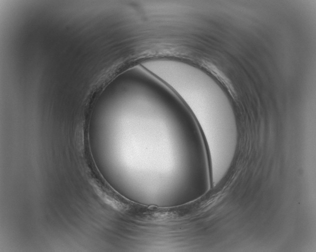 X0000074940493200609010949