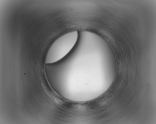 X0000074940498200609010949