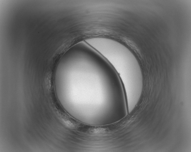 X0000074940501200609010948