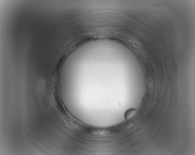 X0000074940503200609010948