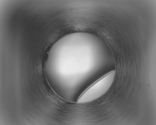 X0000074940508200609010948