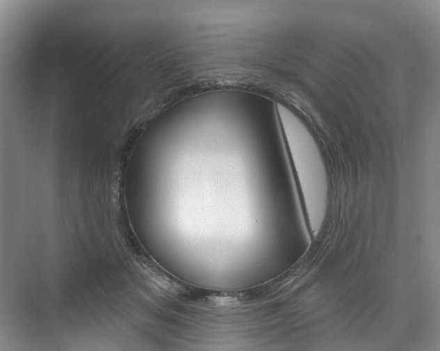 X0000074940509200609010948