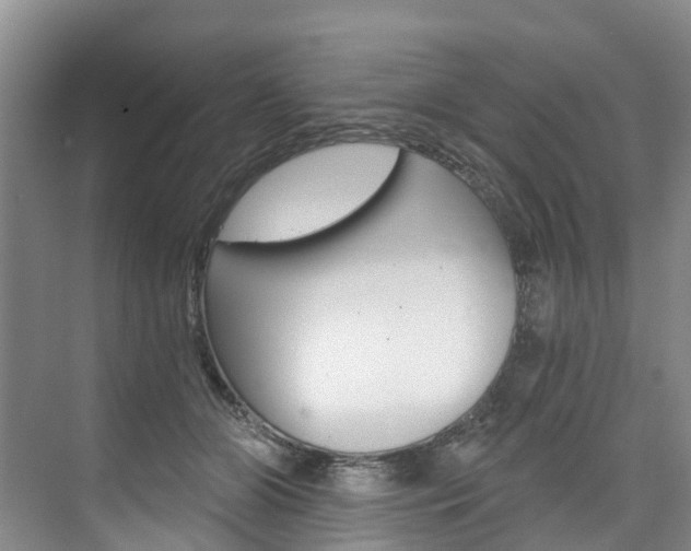 X0000074940510200609010948