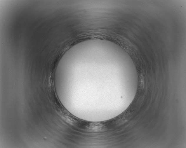 X0000074940514200609010948