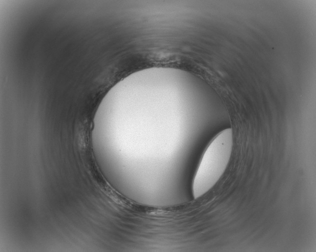 X0000074940515200609010948