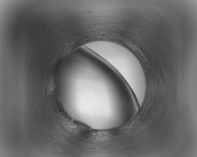 X0000074940517200609010948