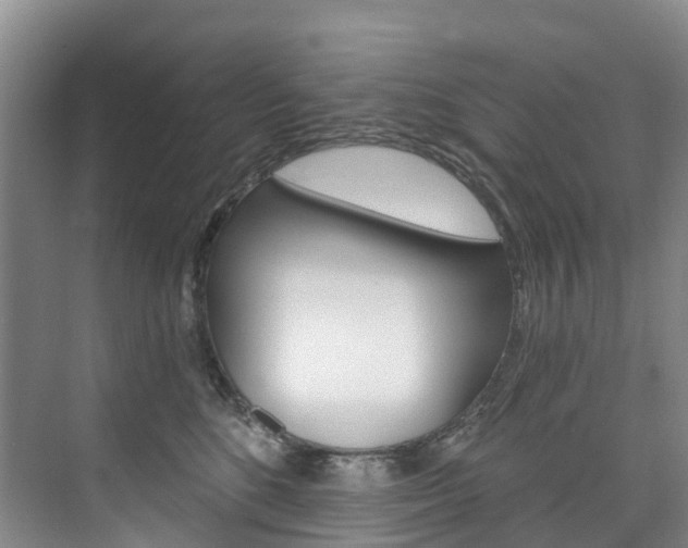 X0000074940520200609010948