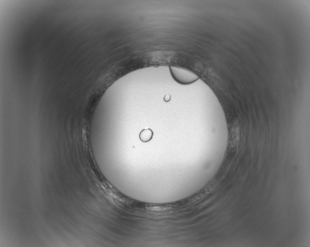 X0000074940522200609010948