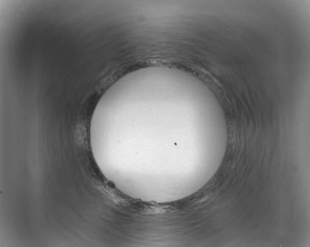 X0000074940523200609010948