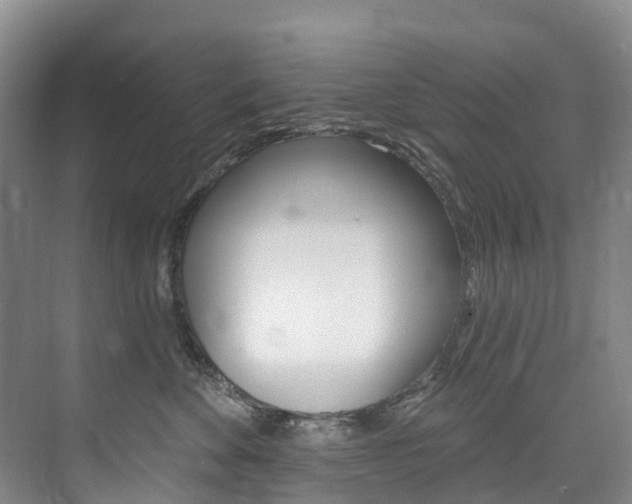 X0000074940524200609010948