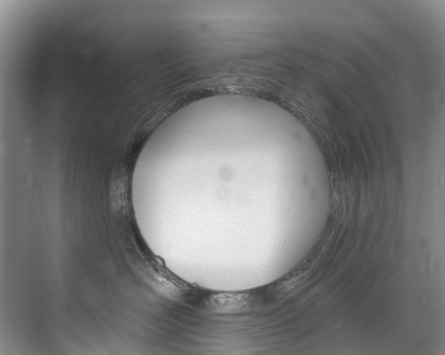 X0000074940526200609010948