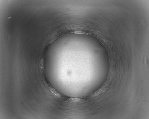 X0000074940528200609010948