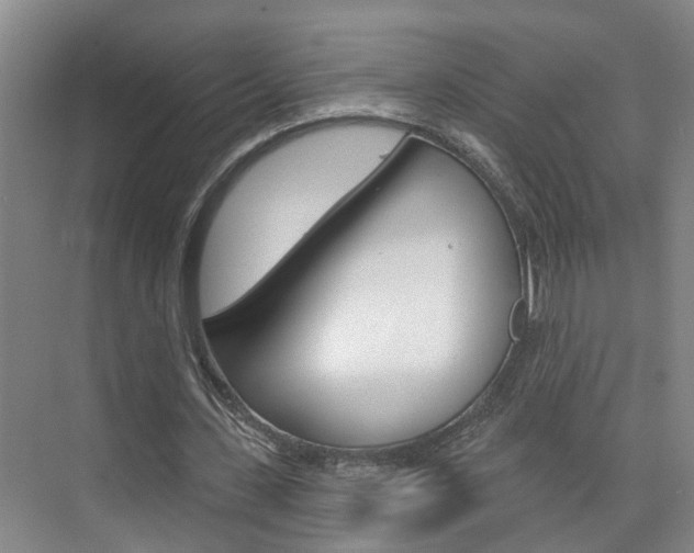 X0000074940531200609010947