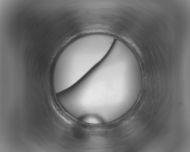 X0000074940533200609010947