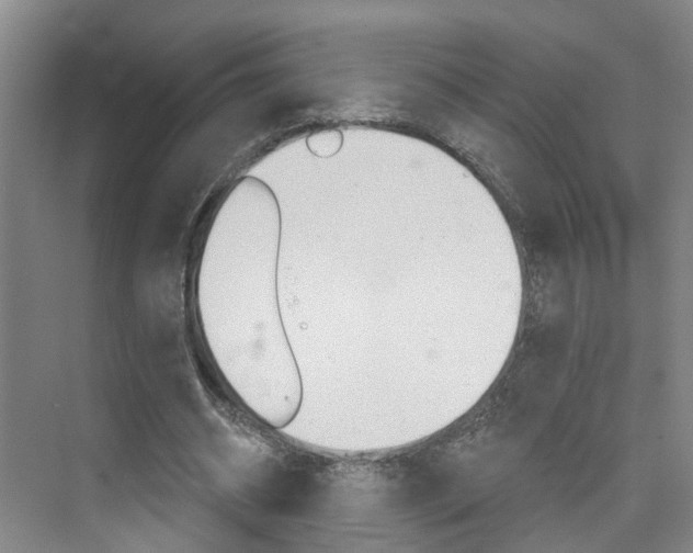 X0000074940534200609010947