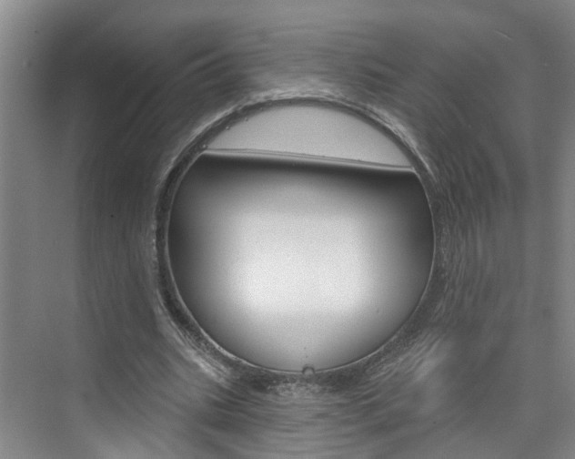 X0000074940535200609010947