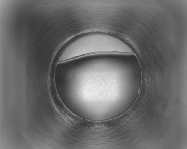 X0000074940536200609010947