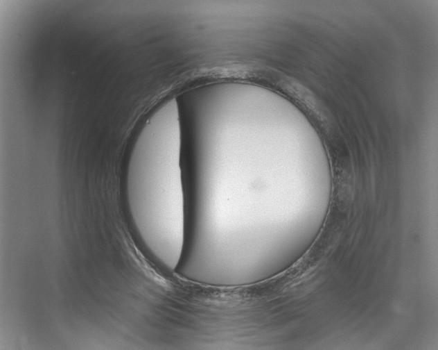 X0000074940537200609010947