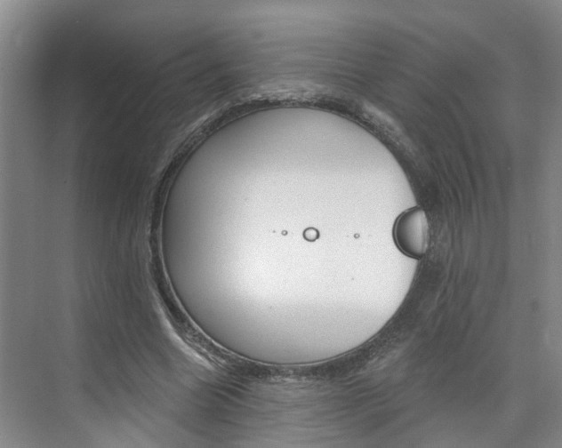 X0000074940538200609010947