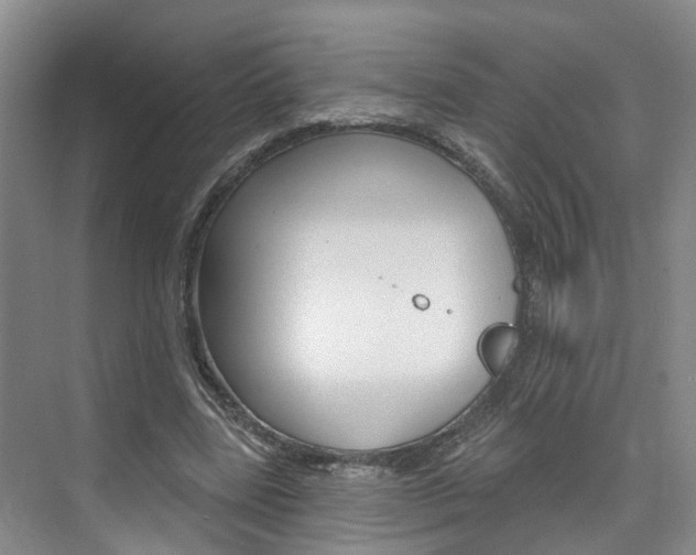 X0000074940539200609010947