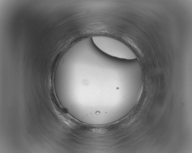 X0000074940541200609010947