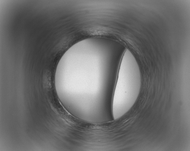 X0000074940547200609010948