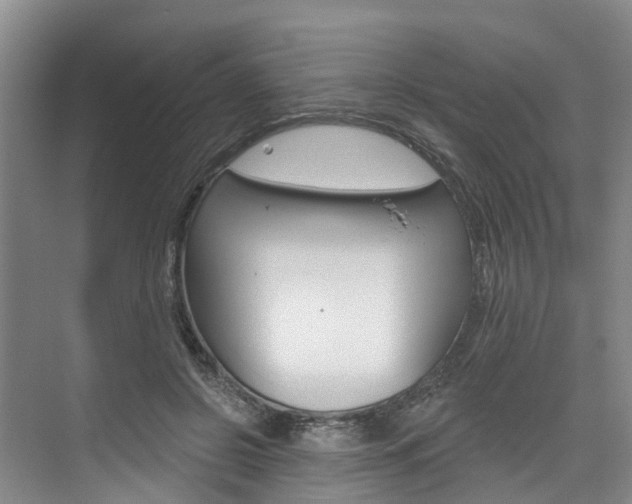 X0000074940550200609010948