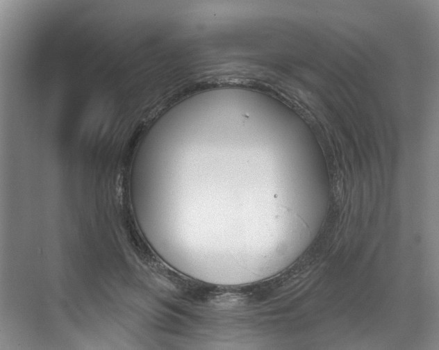 X0000074940551200609010948