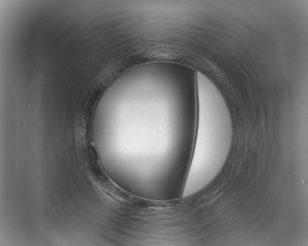 X0000074940552200609010948