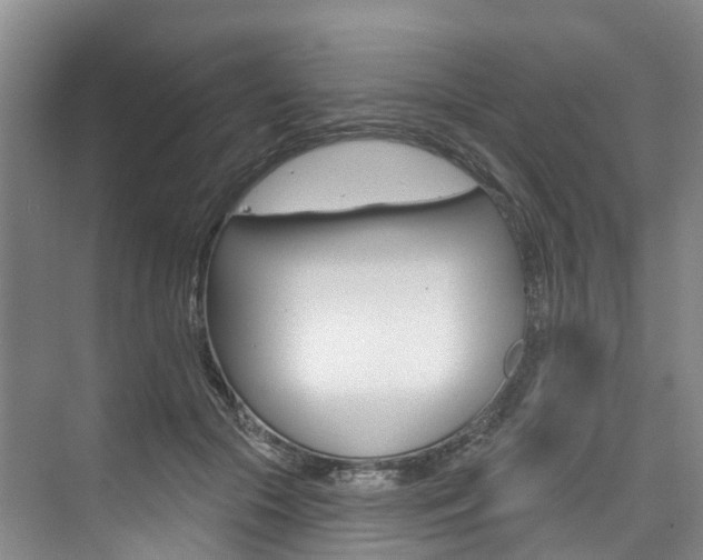 X0000074940553200609010948