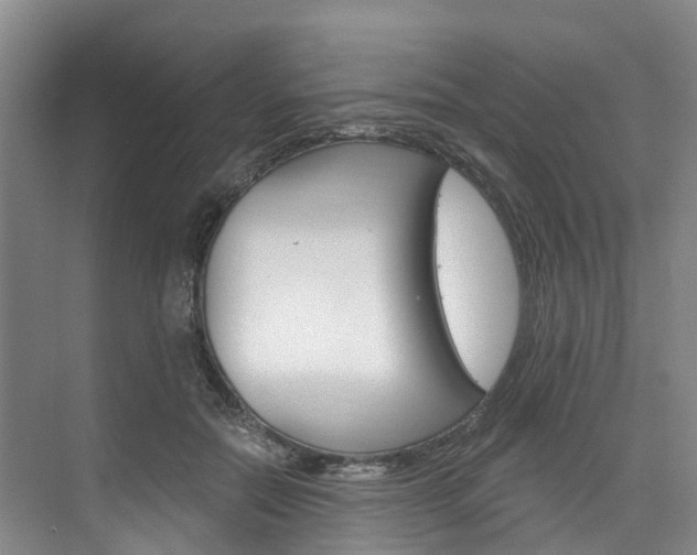 X0000074940554200609010948