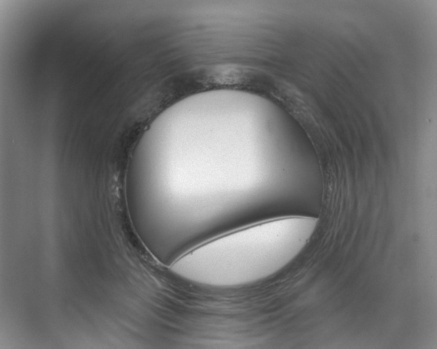 X0000074940555200609010948