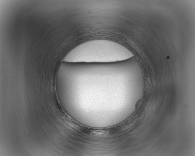 X0000074940557200609010948