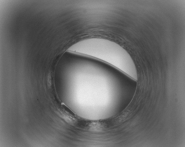 X0000074940562200609010948