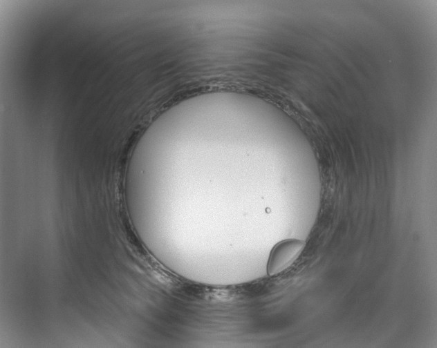 X0000074940565200609010948